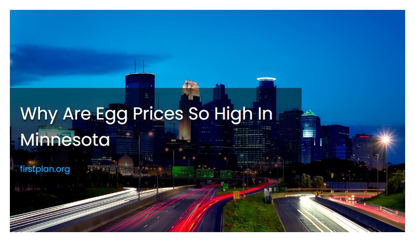 Why Are Egg Prices So High In Minnesota