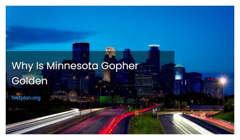 Why Is Minnesota Gopher Golden