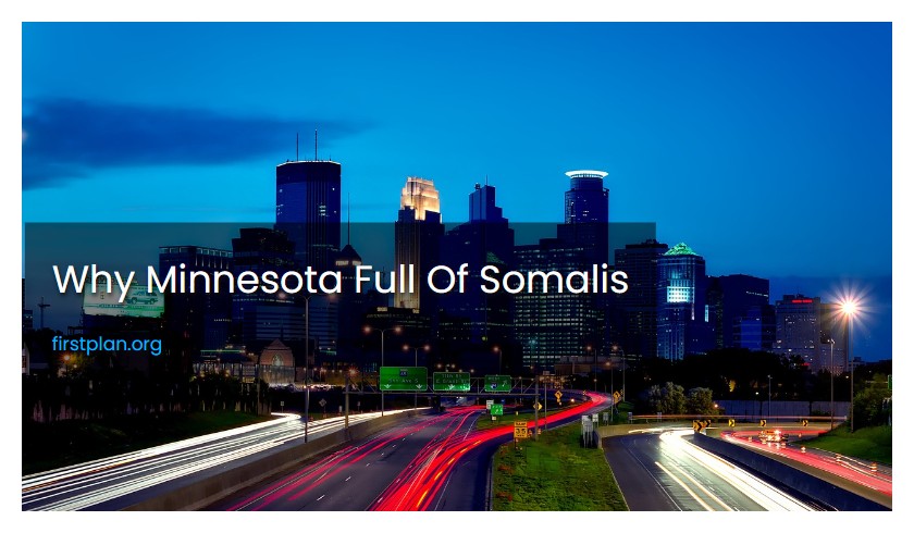 Why Minnesota Full Of Somalis
